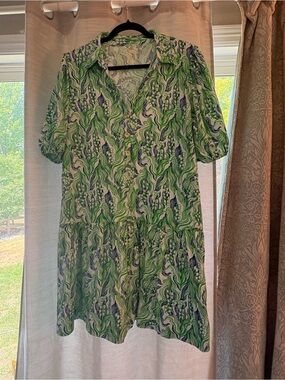 Lilly Pulitzer Green and Blue Printed Sleeve Dress